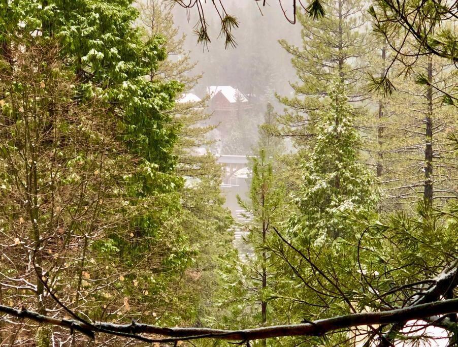 Glimmer Chalet Treetop A-Frame Cabin Lake View 箭头湖 外观 照片