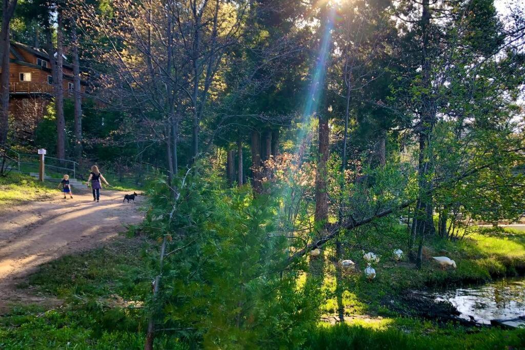 Glimmer Chalet Treetop A-Frame Cabin Lake View 箭头湖 外观 照片